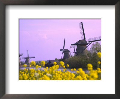 Windmills Along The Canal In Kinderdijk, Netherlands by Keren Su Pricing Limited Edition Print image