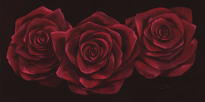 Black Baccara by Susanne Bach Pricing Limited Edition Print image