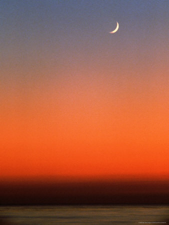 Quarter Moon In Sunset Sky Over Ocean by Elfi Kluck Pricing Limited Edition Print image