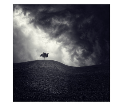 Alone Again by Luis Beltran Pricing Limited Edition Print image