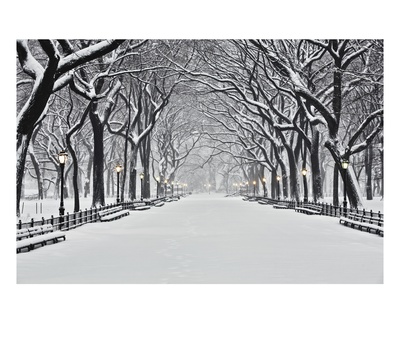 Central Park In Winter by Rudy Sulgan Pricing Limited Edition Print image