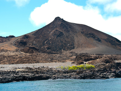 Plaza Sur (Galapagos) by Oliver Schwartz Pricing Limited Edition Print image