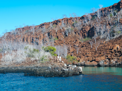 Bartolome (Galapagos) by Oliver Schwartz Pricing Limited Edition Print image