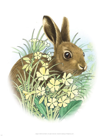 Brown Rabbit by Alan Baker Pricing Limited Edition Print image