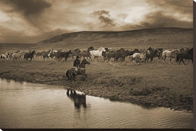 Sombrero Herd by Barry Hart Pricing Limited Edition Print image