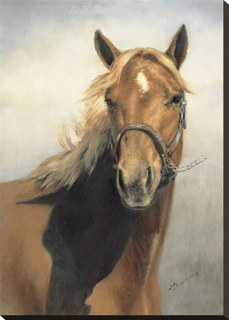 American Quarter Horse by Vi Thurmond Pricing Limited Edition Print image
