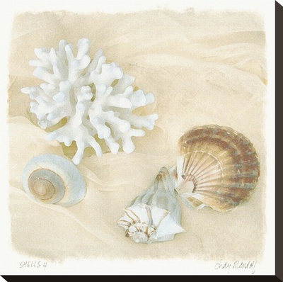 Shells Iv by Judy Mandolf Pricing Limited Edition Print image