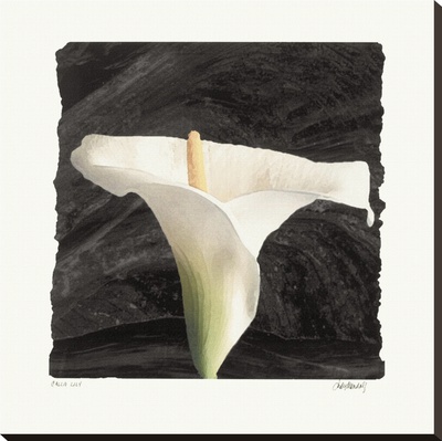 Calla Lily by Judy Mandolf Pricing Limited Edition Print image