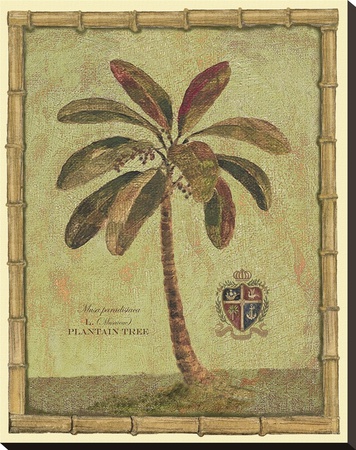 Caribbean Palm Iv With Bamboo Border by Betty Whiteaker Pricing Limited Edition Print image
