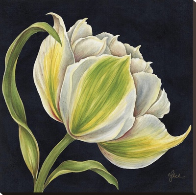 Fleur Blanche by Constance Lael Pricing Limited Edition Print image