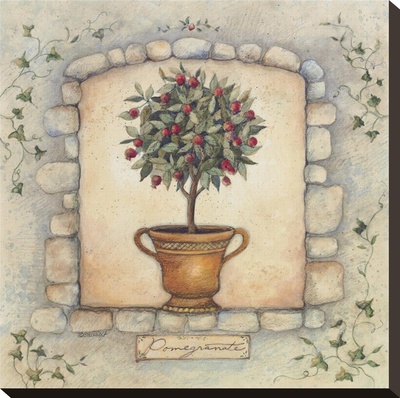 Pomegranates Topiary by Susan Winget Pricing Limited Edition Print image