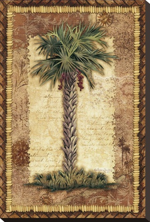Classic Palm Ii by Kathleen Denis Pricing Limited Edition Print image