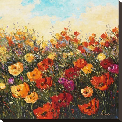 Poppy Dance I by Peggy Corthouts Pricing Limited Edition Print image