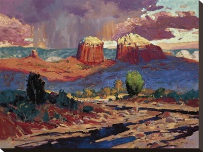 Sedona Rain by Paul Davis Pricing Limited Edition Print image