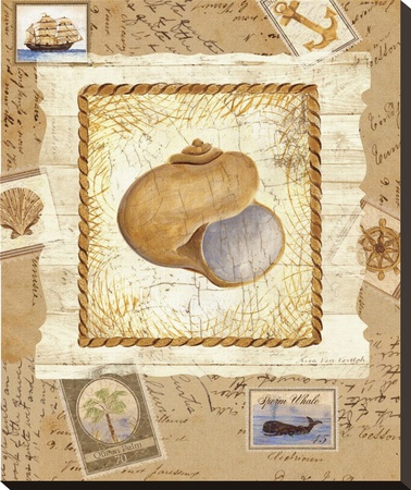 Ship To Shore Shells I by Lisa Ven Vertloh Pricing Limited Edition Print image