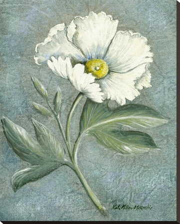 White Poppy by Kate Mcrostie Pricing Limited Edition Print image