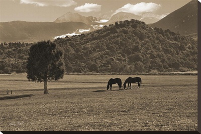 Mancos Morning In Sepia by Barry Hart Pricing Limited Edition Print image