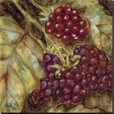 Ripening Berries by Nicole Etienne Pricing Limited Edition Print image