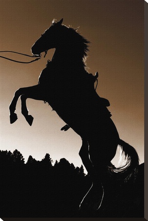 Stallion Silhouette by Barry Hart Pricing Limited Edition Print image
