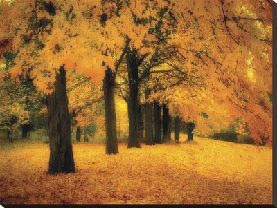 Gold Of Autumn East by M. Ellen Cocose Pricing Limited Edition Print image