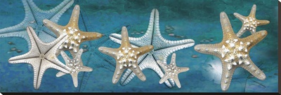 Starfish by Melinda Bradshaw Pricing Limited Edition Print image