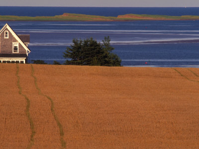 Farmhouse On Prince Edward Island, Canada by Walter Bibikow Pricing Limited Edition Print image