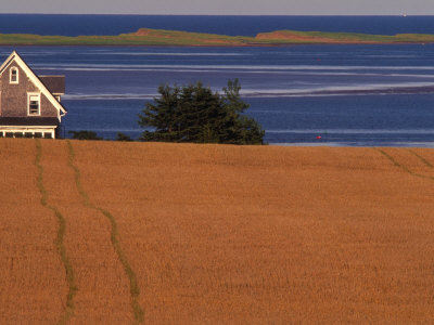 Farmhouse On Prince Edward Island, Canada by Walter Bibikow Pricing Limited Edition Print image