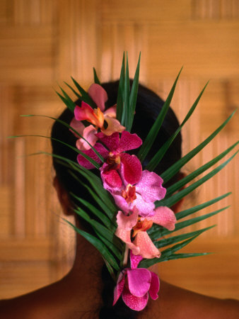 Woman Wearing Hair Decoration, French Polynesia by Peter Hendrie Pricing Limited Edition Print image