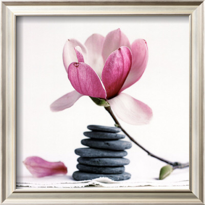 Magnolia Gallery by Amelie Vuillon Pricing Limited Edition Print image