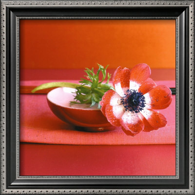 Anemone Rouge by Amelie Vuillon Pricing Limited Edition Print image