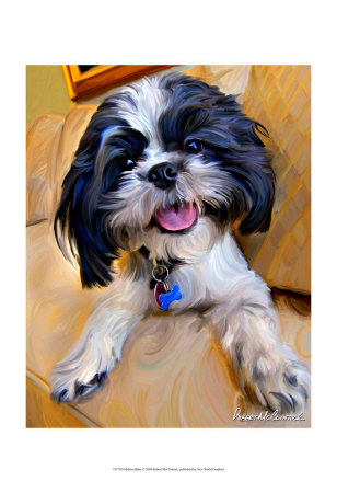 Shihtzu Baby by Robert Mcclintock Pricing Limited Edition Print image