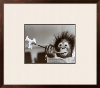 Hair Raising Experience by Mike Hollist Pricing Limited Edition Print image