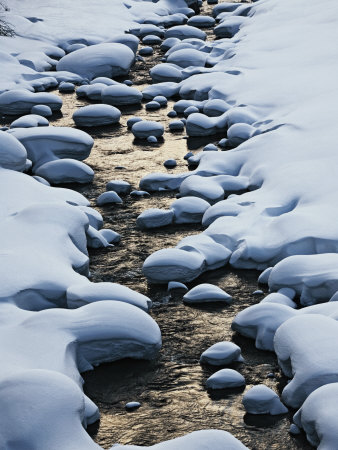 Snowmelt Nourishes The Chubetsu River by Michael S. Yamashita Pricing Limited Edition Print image