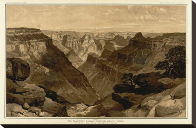 Grand Canyon: The Transept, Kaibab Division, C.1882 by Thomas Moran Pricing Limited Edition Print image