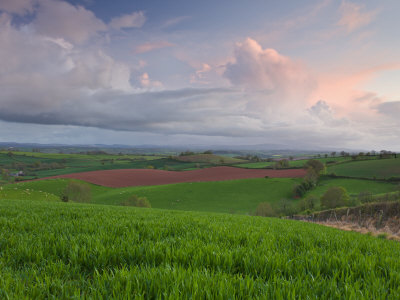 Skyscape Above The Rolling Fields Of Mid Devon Farmland, Uk by Adam Burton Pricing Limited Edition Print image