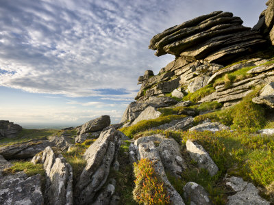 Black Tor, Dartmoor National Park, Devon, England, 2008 by Adam Burton Pricing Limited Edition Print image