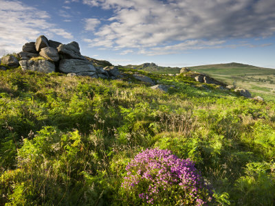 Summer At Saddle Tor, Dartmoor National Park, Devon, England, 2008 by Adam Burton Pricing Limited Edition Print image