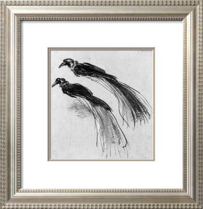 Birds by Rembrandt Van Rijn Pricing Limited Edition Print image