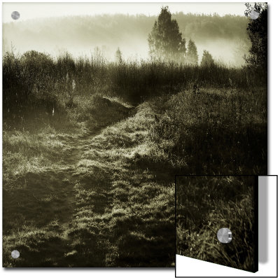 Low Fog On Field by Ewa Zauscinska Pricing Limited Edition Print image
