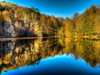 Reflection Of Autumn by Nejdet Duzen Pricing Limited Edition Print image