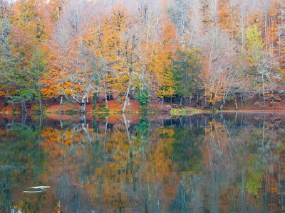 Autumn Colors by Nejdet Duzen Pricing Limited Edition Print image
