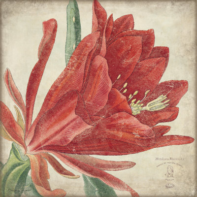 Red Flower by Stephanie Marrott Pricing Limited Edition Print image