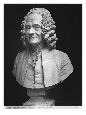 Bust Of Voltaire by Jean-Antoine Houdon Pricing Limited Edition Print image