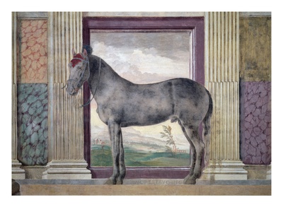 Sala Dei Cavalli, Detail - Portrait Of 'Morel Favorito', Horse From Ludovico Gonzaga Iii Stables by Giulio Romano Pricing Limited Edition Print image