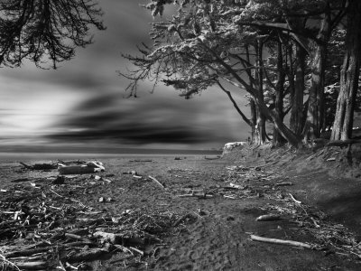 Driftwood On The Beach, Santa Cruz, California by Images Monsoon Pricing Limited Edition Print image