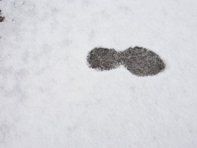Footprint In The Snow by Stephen Alvarez Pricing Limited Edition Print image