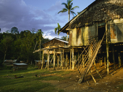 Iban Tribal Longhouse Built On Stilts by Tim Laman Pricing Limited Edition Print image