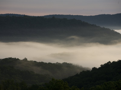 Mist-Covered Hills by Tyrone Turner Pricing Limited Edition Print image