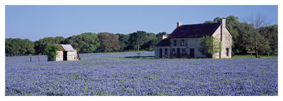 Bluebonnets Farmhouse by Danny Burk Pricing Limited Edition Print image