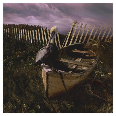 Beached by Steve Hunziker Pricing Limited Edition Print image
